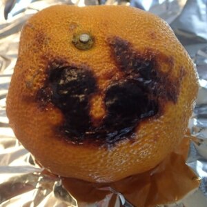 トースターで昔なつかしい焼きみかん☆